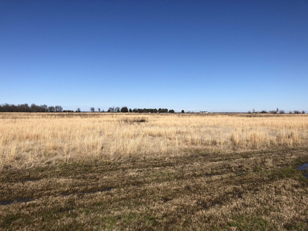 Newport Airbase Industrial Park Site #1