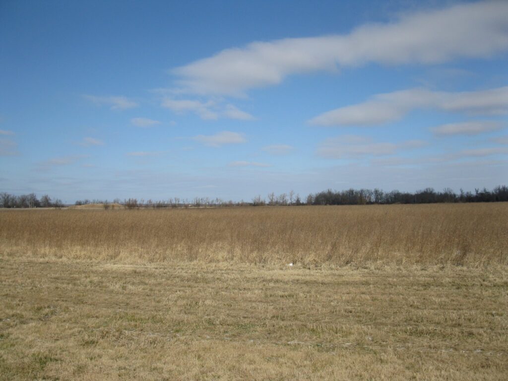 Newport Airbase Industrial Park Site #1