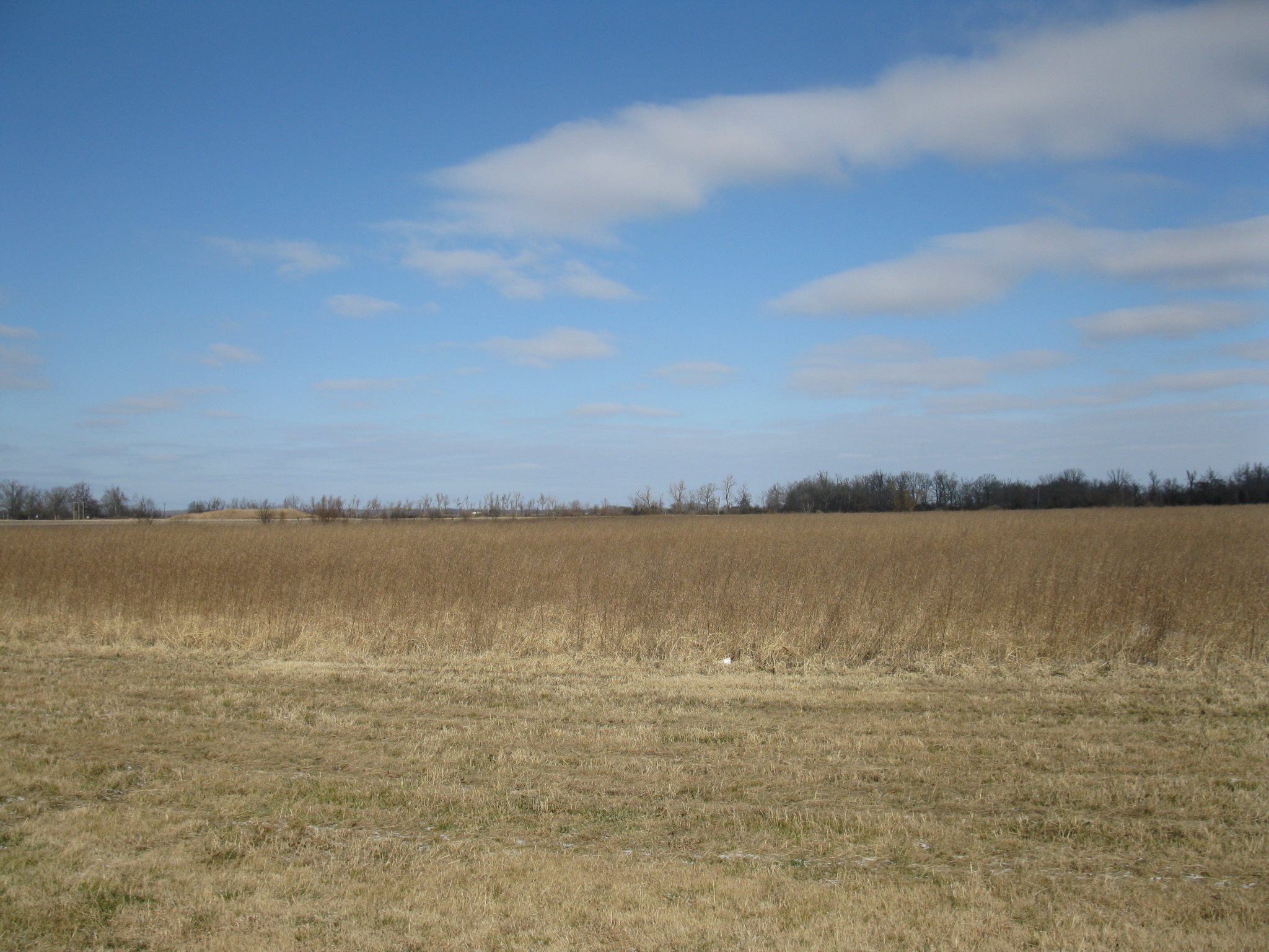 Newport Airbase Industrial Park Site 1 Opportunity Arkansas